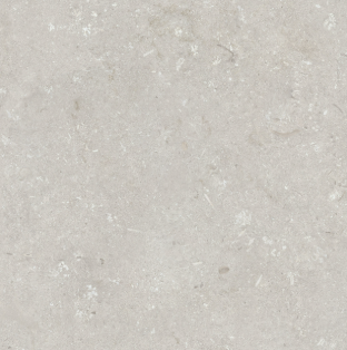[1218H5147] Shellstone Bianco 600x600x20 - rectifié - R11 C - V3 - 0.72m2 - 41.66 kg/ m2 - 21.60 m2 / palette