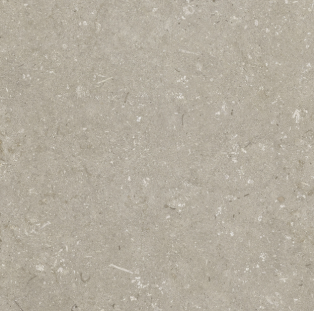 [1218H5150] Shellstone Taupe 600x600x20 - rectifié - R11 C - V3 - 0.72m2 - 41.66 kg/ m2 - 21.60 m2 / palette